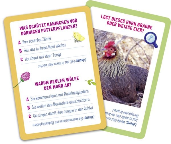Produktbild: Das Quiz f&uuml;r kleine Forscher &ndash; Natur