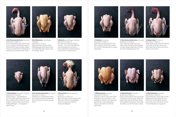 Produktbild: Huhn & Hähnchen