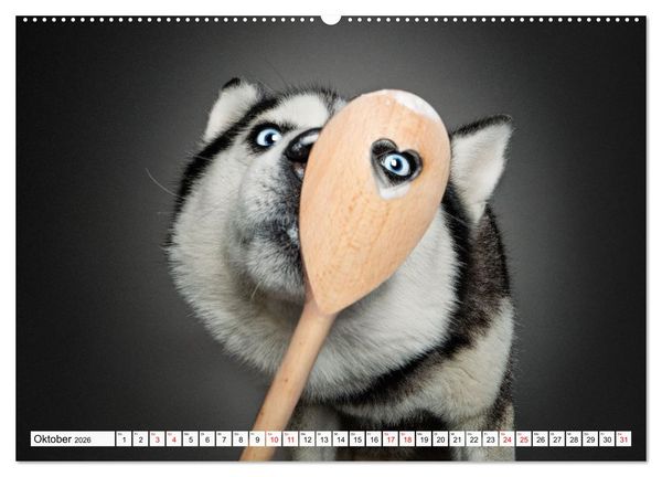 Produktbild: Hunde im Naschparadies (hochwertiger Premium Wandkalender 2026 DIN A2 quer), Kunstdruck in Hochglanz