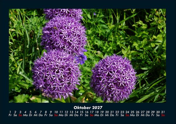 Produktbild: Blumenkalender 2027 Fotokalender DIN A4