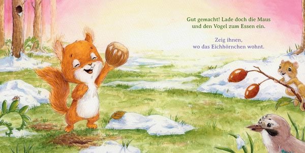 Produktbild: Wo ist die Nuss?