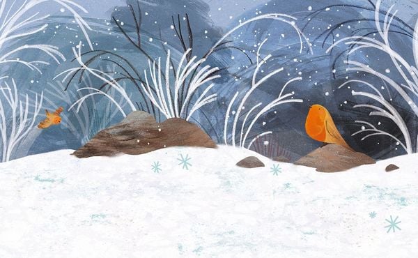 Produktbild: Winter mit Pettirosso