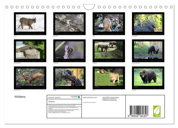Produktbild: Wildtiere (Wandkalender 2026 DIN A4 quer), CALVENDO Monatskalender