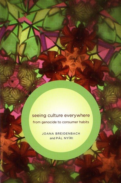 Produktbild: Seeing Culture Everywhere