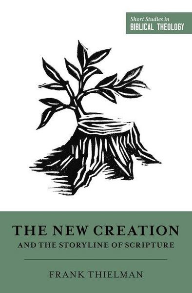 Produktbild: The New Creation and the Storyline of Scripture