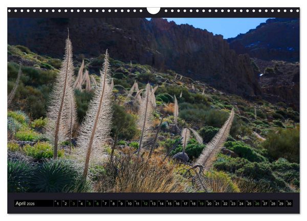 Produktbild: wildes Teneriffa (Wandkalender 2026 DIN A3 quer), CALVENDO Monatskalender