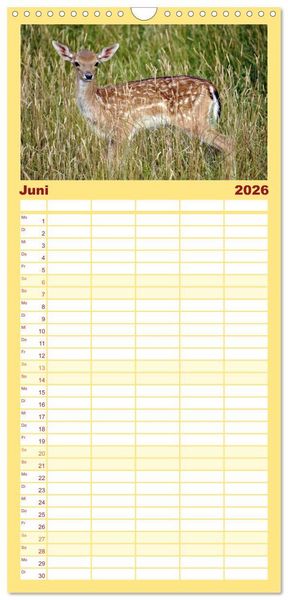 Produktbild: Familienplaner 2026 - Nachwuchs in der Tierwelt mit 5 Spalten (Wandkalender, 21 x 45 cm) CALVENDO