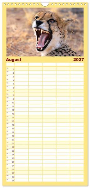 Produktbild: Familienplaner 2027 - Geparden - Begegnungen in Afrika mit 5 Spalten (Wandkalender, 21 x 45 cm) CALVENDO