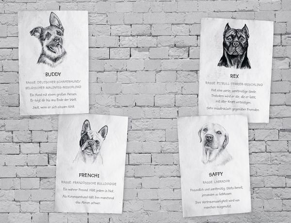 Produktbild: Buddy &ndash; Mein Leben als Stra&szlig;enhund