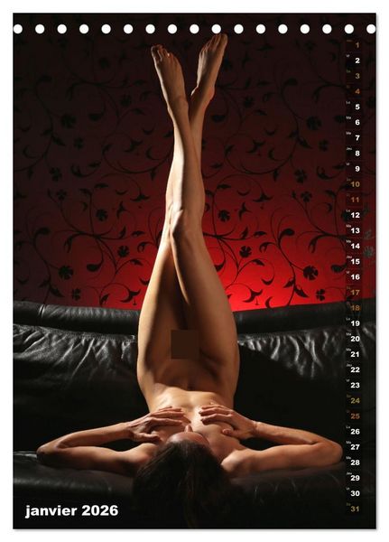 Produktbild: Le canap&eacute; (Calendrier de bureau 2026 DIN A5 horizontal), CALVENDO calendrier mensuel
