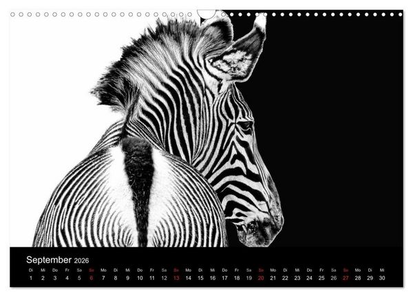 Produktbild: Tierisches (Wandkalender 2026 DIN A3 quer), CALVENDO Monatskalender