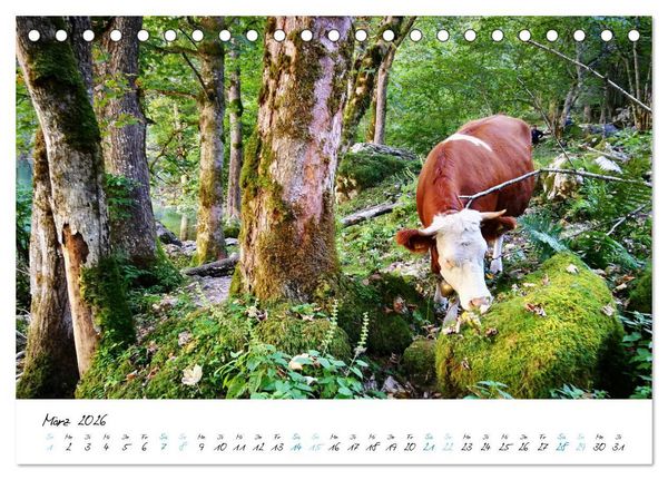 Produktbild: Traumhafter K&ouml;nigssee (Tischkalender 2026 DIN A5 quer), CALVENDO Monatskalender
