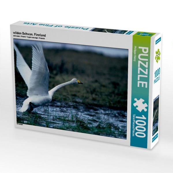 CALVENDO Puzzle wilden Schwan. Finnland | 1000 Teile Lege-Größe 64x48cm Foto-Puzzle für glückliche Stunden