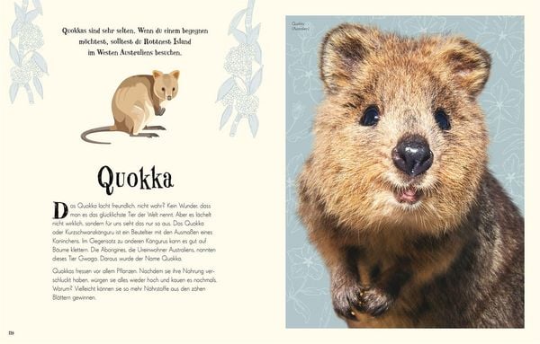 Produktbild: Wundervolle Welt der Tiere