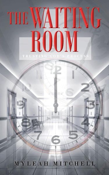 Produktbild: The Waiting Room