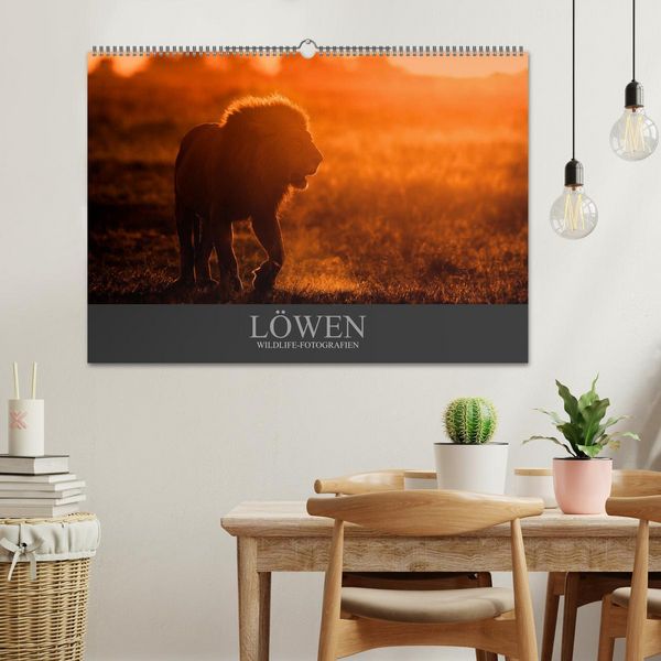 Produktbild: L&ouml;wen Wildlife-Fotografien (Wandkalender 2026 DIN A2 quer), CALVENDO Monatskalender