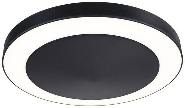 Paulmann Circula 94526 LED-Außenwandleuchte mit Bewegungsmelder 14W Anthrazit