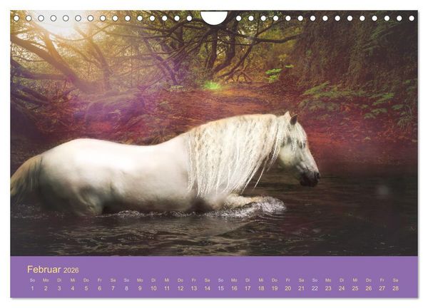 Produktbild: Von der Magie der Pferde (Wandkalender 2026 DIN A4 quer), CALVENDO Monatskalender