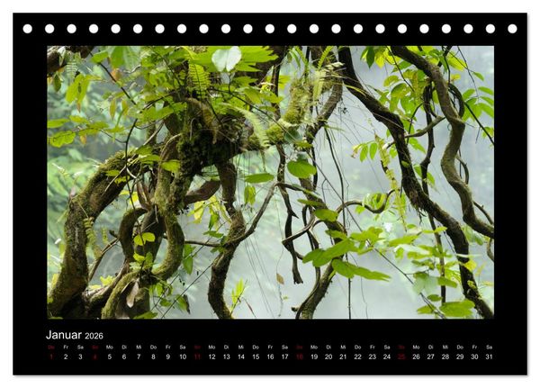 Produktbild: SUMATRA Abenteuer Regenwald (Tischkalender 2026 DIN A5 quer), CALVENDO Monatskalender