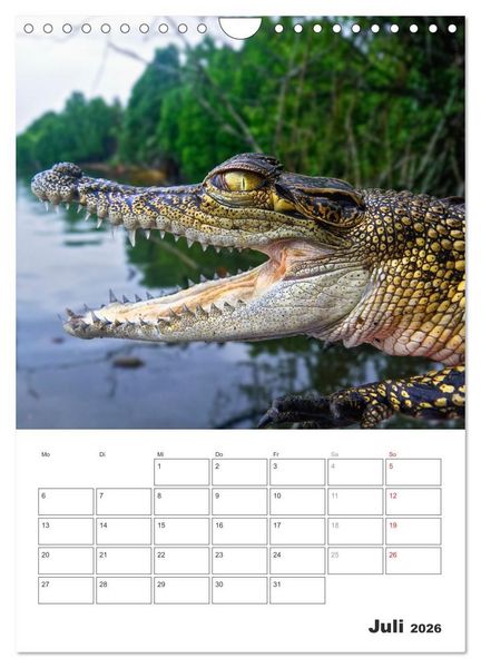 Produktbild: Sri Lanka 2026 - Exotisches Paradies - Jahresplaner (Wandkalender 2026 DIN A4 hoch), CALVENDO Monatskalender