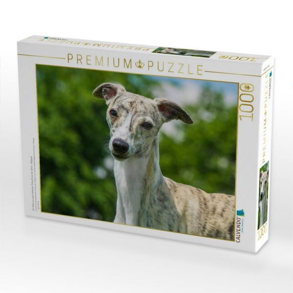 Produktbild: CALVENDO Puzzle Ein Motiv aus dem Kalender Schnell wie der Wind - Whippet | 1000 Teile Lege-Gr&ouml;&szlig;e 64x48cm Foto-Puzzle f&uuml;r gl&uuml;ckliche Stunden