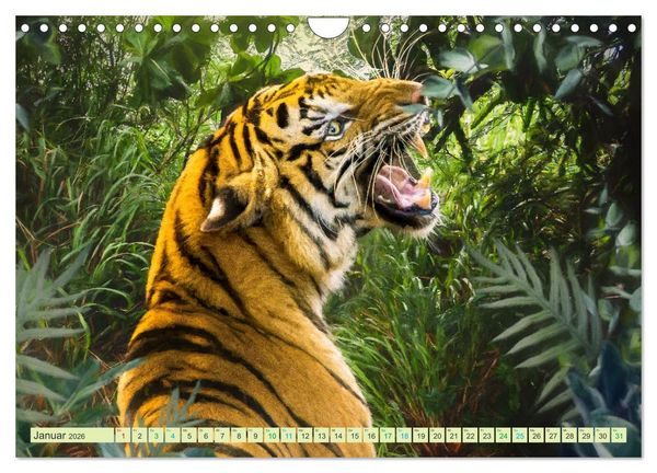 Produktbild: Hallo Dschungel - Artwork (Wandkalender 2026 DIN A4 quer), CALVENDO Monatskalender