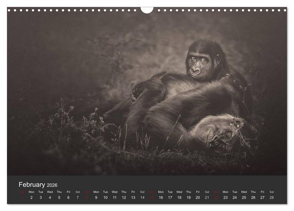 Produktbild: African Souls African animals with soul (Wall Calendar 2026 DIN A3 landscape), CALVENDO 12 Month Wall Calendar