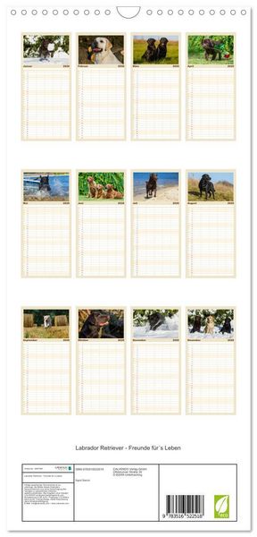 Produktbild: Familienplaner 2026 - Labrador Retriever - Freunde f&uuml;r&acute;s Leben mit 5 Spalten (Wandkalender, 21 x 45 cm) CALVENDO