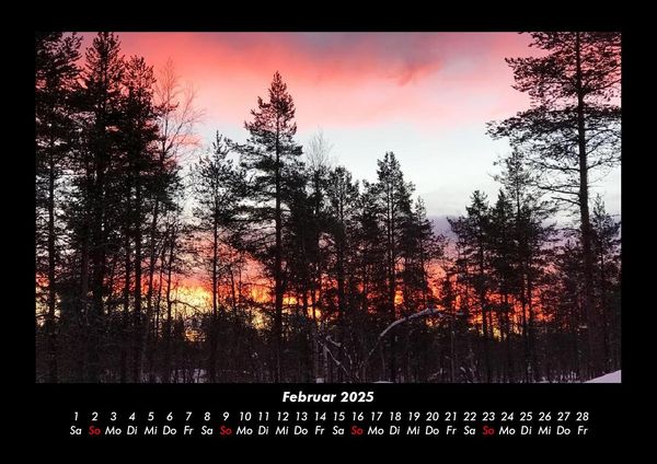 Produktbild: B&auml;ume 2025 Fotokalender DIN A3