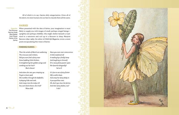 Produktbild: Faeries