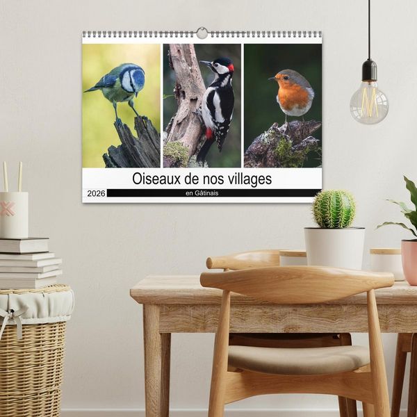 Produktbild: Oiseaux de nos villages en G&acirc;tinais (Calendrier mural 2026 DIN A3 vertical), CALVENDO calendrier mensuel