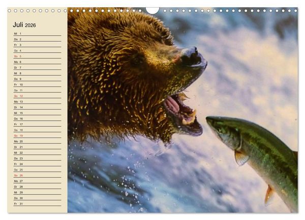 Produktbild: B&auml;ren (Wandkalender 2026 DIN A3 quer), CALVENDO Monatskalender