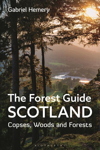 Produktbild: The Forest Guide: Scotland