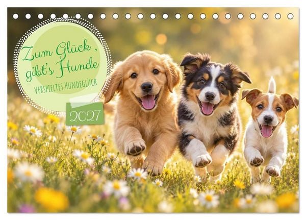 Produktbild: Zum Gl&uuml;ck gibt&rsquo;s Hunde (Tischkalender 2027 DIN A5 quer), CALVENDO Monatskalender