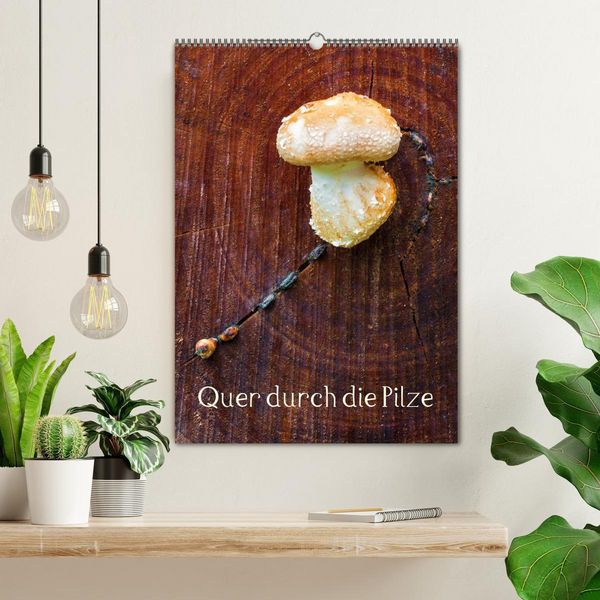 Produktbild: Quer durch die Pilze (Wandkalender 2026 DIN A2 hoch), CALVENDO Monatskalender