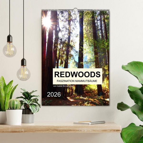 Produktbild: Redwoods - Faszination Mammutb&auml;ume (Wandkalender 2026 DIN A2 hoch), CALVENDO Monatskalender