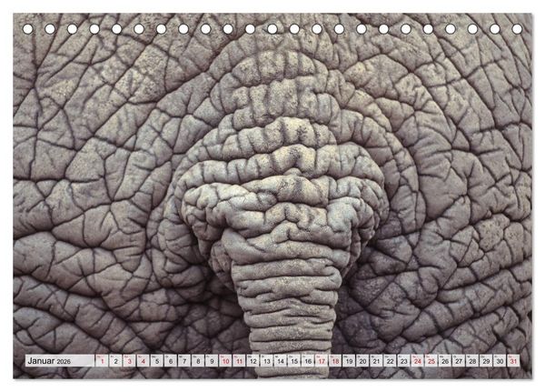 Produktbild: Popo-Kalender (Tischkalender 2026 DIN A5 quer), CALVENDO Monatskalender