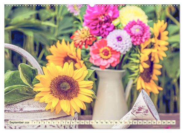 Produktbild: Sonnenblumen. Das Strahlen des Sommers (hochwertiger Premium Wandkalender 2026 DIN A2 quer), Kunstdruck in Hochglanz