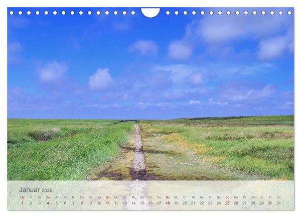 Produktbild: Salzwiesen, Schafe und Watt - Westerhever, ein Naturparadies an der Nordsee (Wandkalender 2026 DIN A4 quer), CALVENDO Monatskalender
