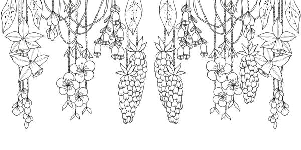 Produktbild: Tropical Flowers &ndash; Exotische Blumen- und Pflanzen-Motive ausmalen