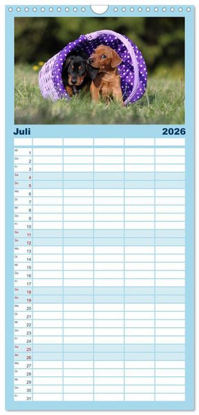 Produktbild: Familienplaner 2026 - Welpen - Puppies mit 5 Spalten (Wandkalender, 21 x 45 cm) CALVENDO