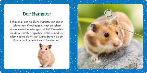 Produktbild: Soundbuch f&uuml;r Klitzekleine &ndash; Haustiere