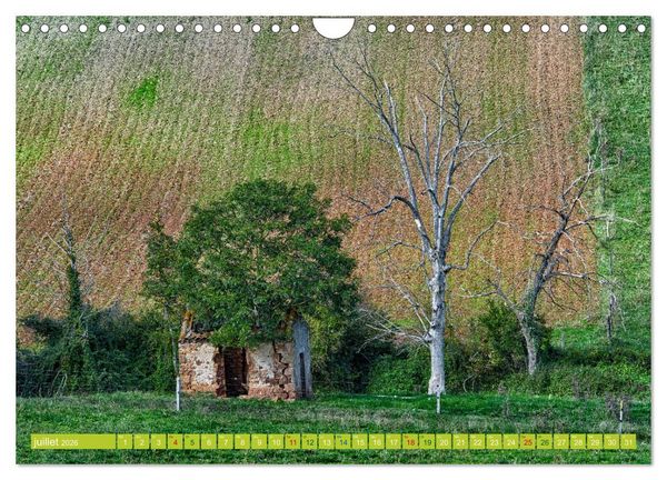 Produktbild: Solitude verdoyante (Calendrier mural 2026 DIN A4 vertical), CALVENDO calendrier mensuel
