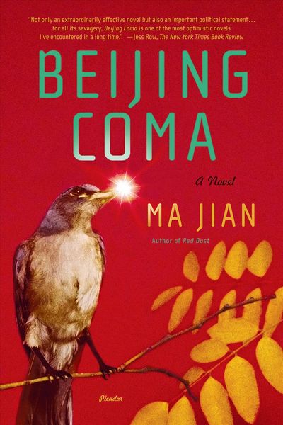 Produktbild: Beijing Coma