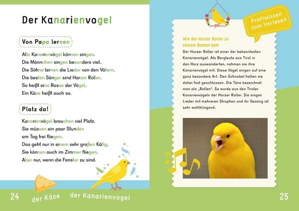 Produktbild: Dein Lesestart: Wei&szlig;t du schon alles &uuml;ber Haustiere? Ab 1. Klasse