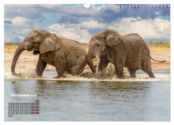 Produktbild: Action in der Savanne (Wandkalender 2026 DIN A3 quer), CALVENDO Monatskalender