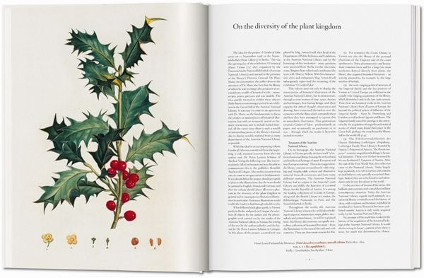 Produktbild: A Garden Eden. Masterpieces of Botanical Illustration