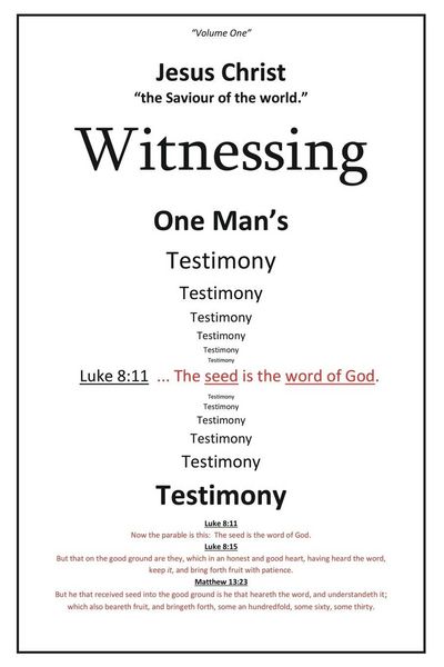 Produktbild: Witnessing One Man's Testimony
