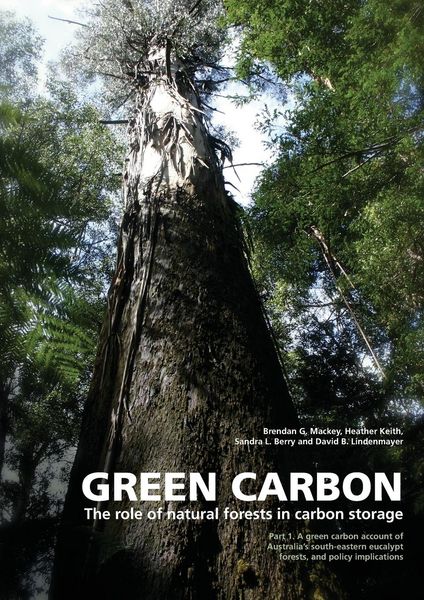 Produktbild: Green Carbon Part 1