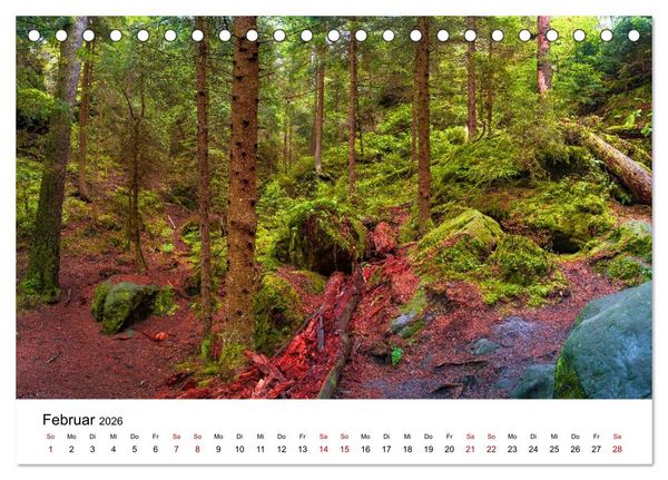 Produktbild: W&auml;lder: die letzte Zuflucht f&uuml;r die Wildnis (Tischkalender 2026 DIN A5 quer), CALVENDO Monatskalender